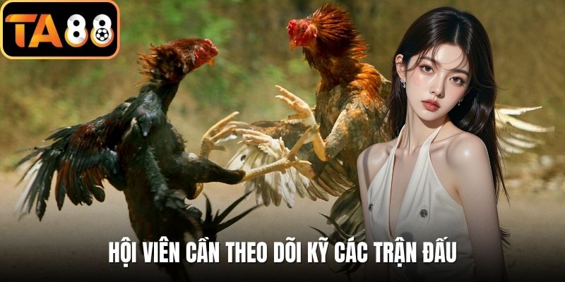 Hội viên cần theo dõi kỹ các trận đấu